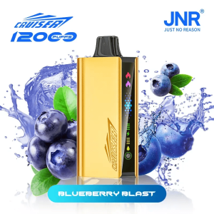 Blueberry Blast - JNR CRUISER 12000 PUFFS
