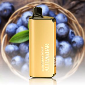 Alibarbar 9000 Puffs – Blueberry Blast